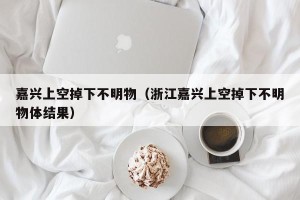 嘉兴上空掉下不明物（浙江嘉兴上空掉下不明物体结果）