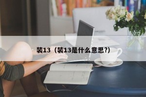 装13（装13是什么意思?）